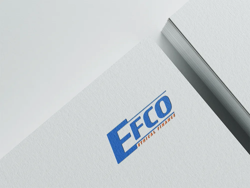 EFCO Finance Detail View